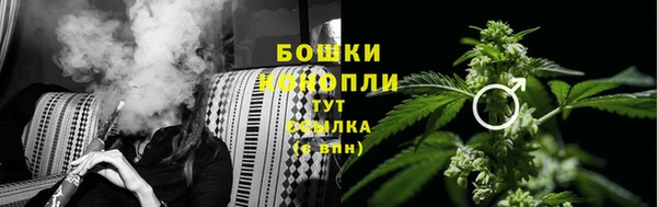 шишки Богданович